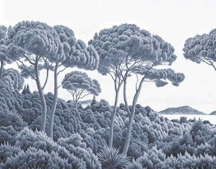 Image croppée