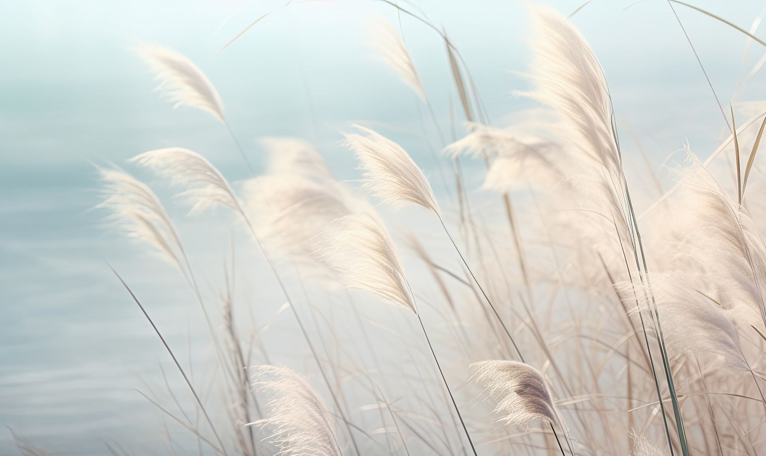 Image croppée