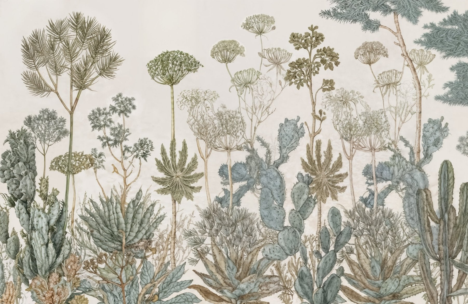 Herbarium Cactus