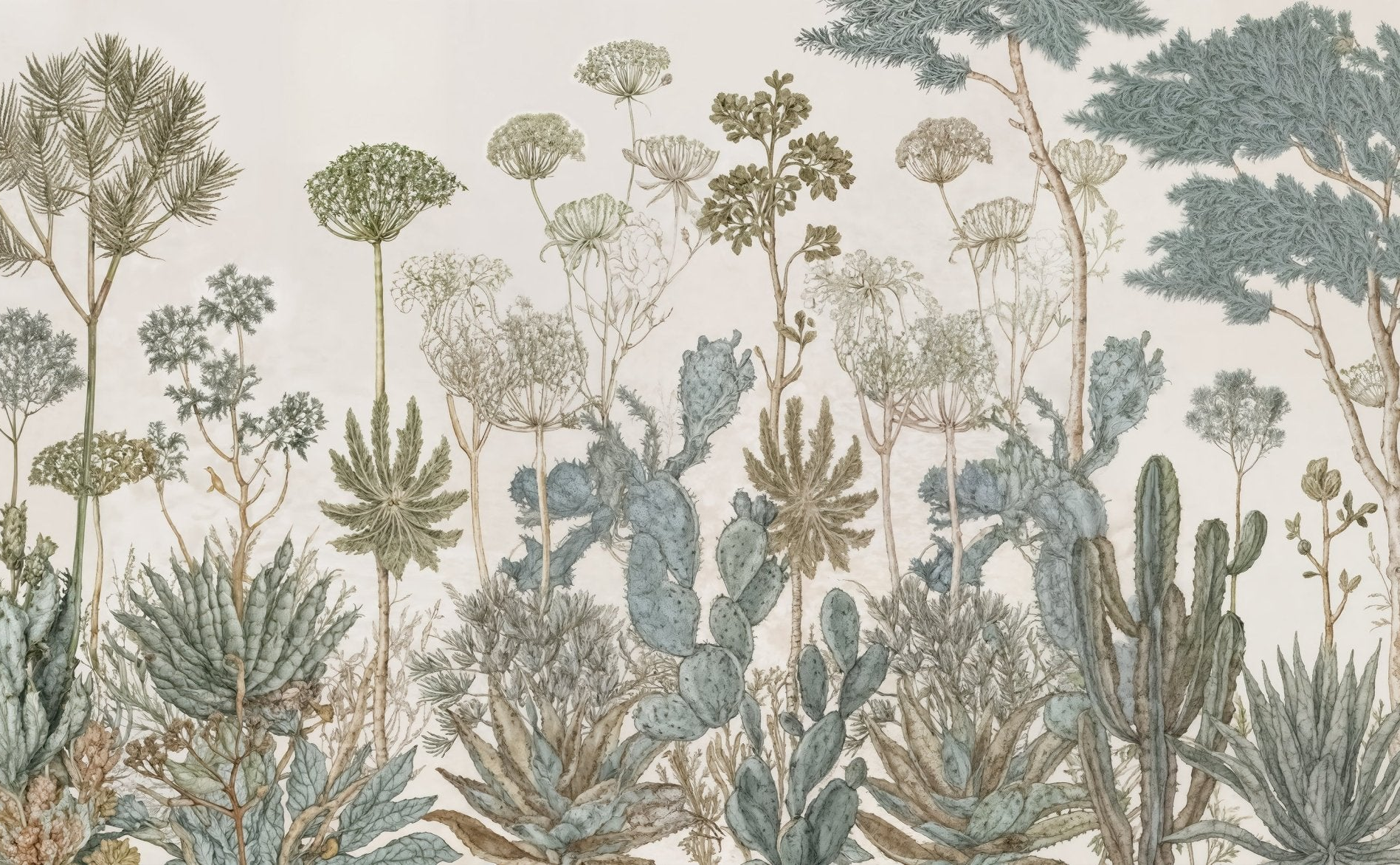 Herbarium Cactus