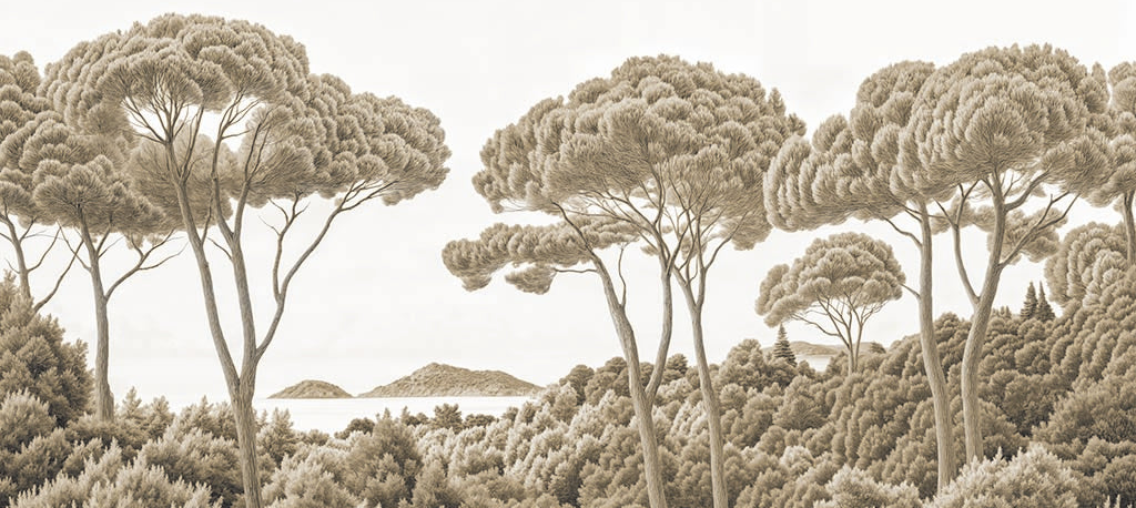 Image croppée