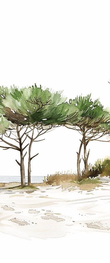 Image croppée