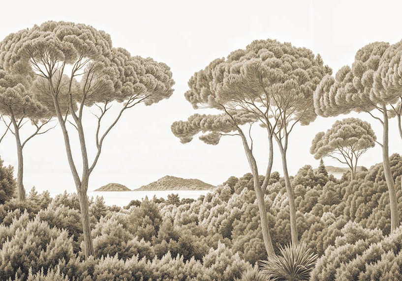 Image croppée