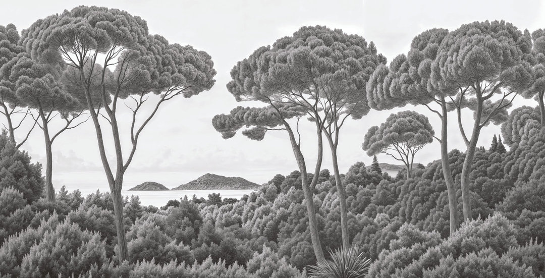 Image croppée