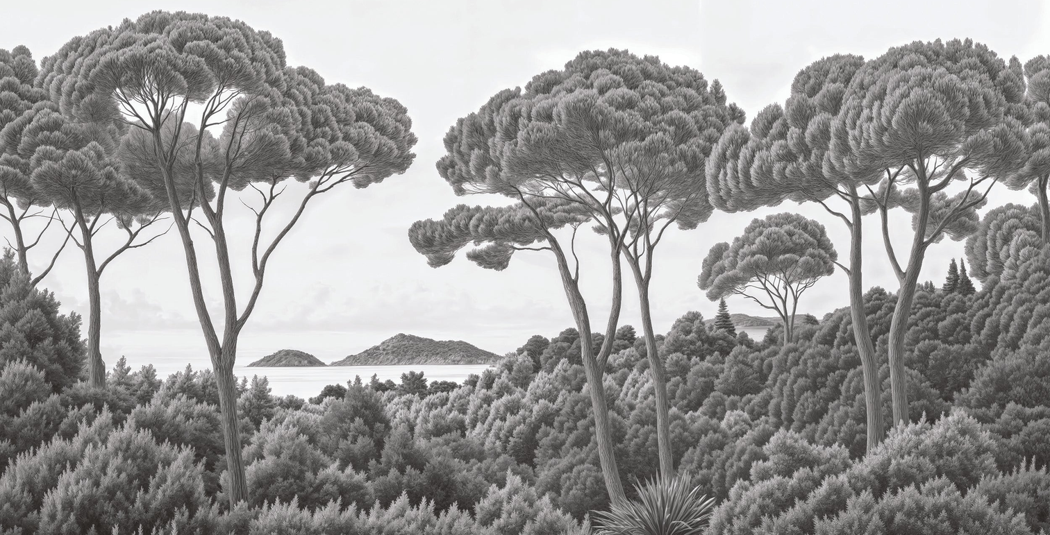 Image croppée