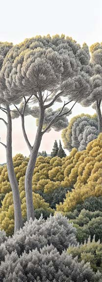 Image croppée