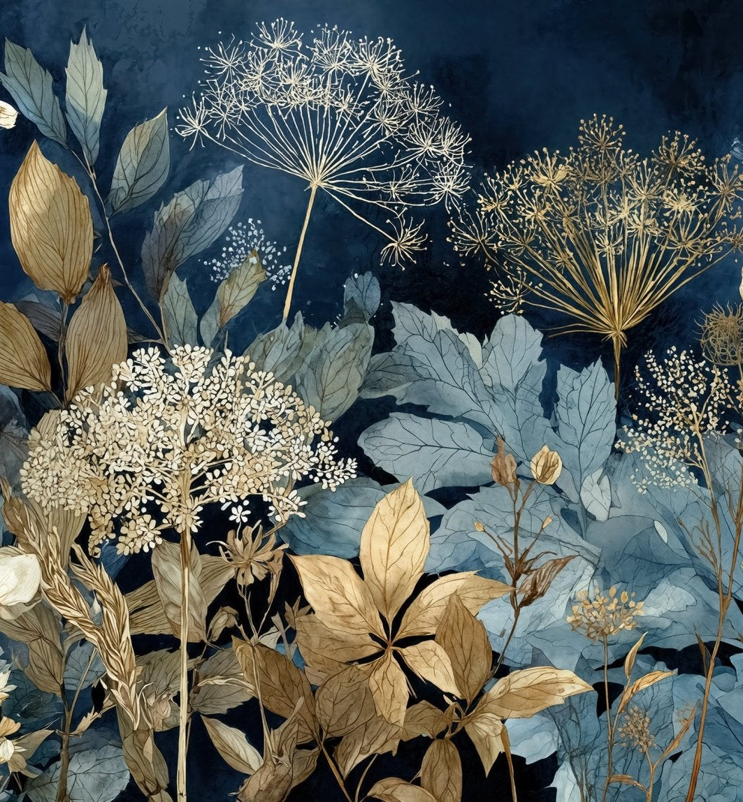 Herbier de Minuit