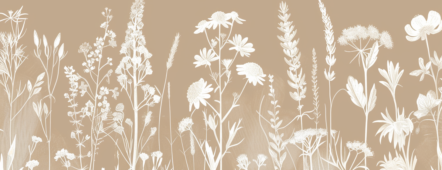 Image croppée