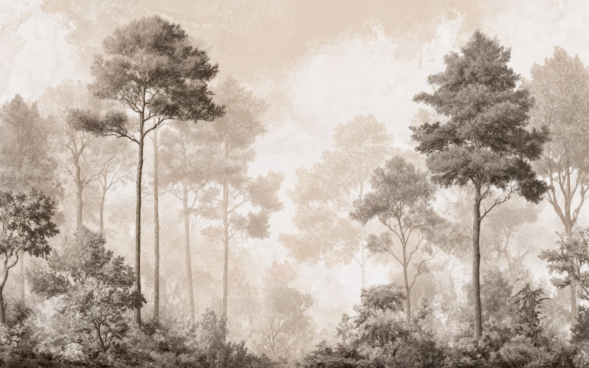 Forêt des Silences
