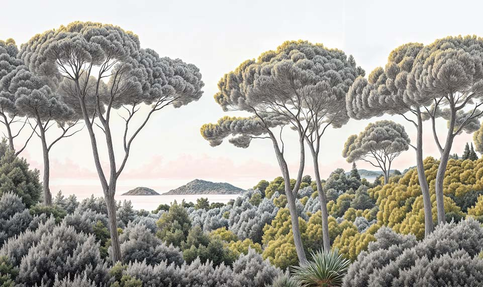Image croppée