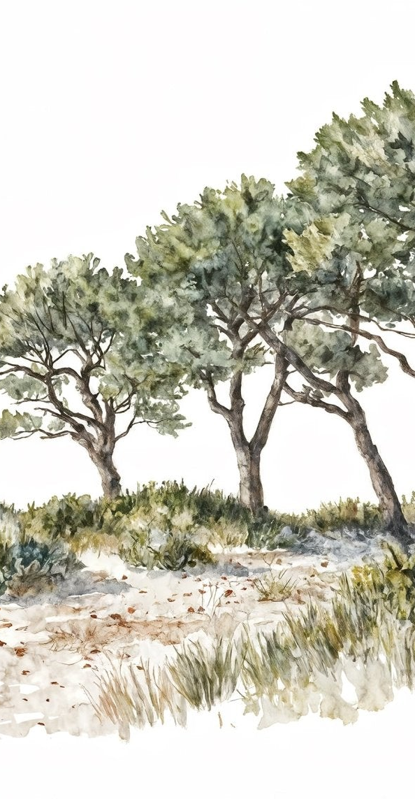 Image croppée
