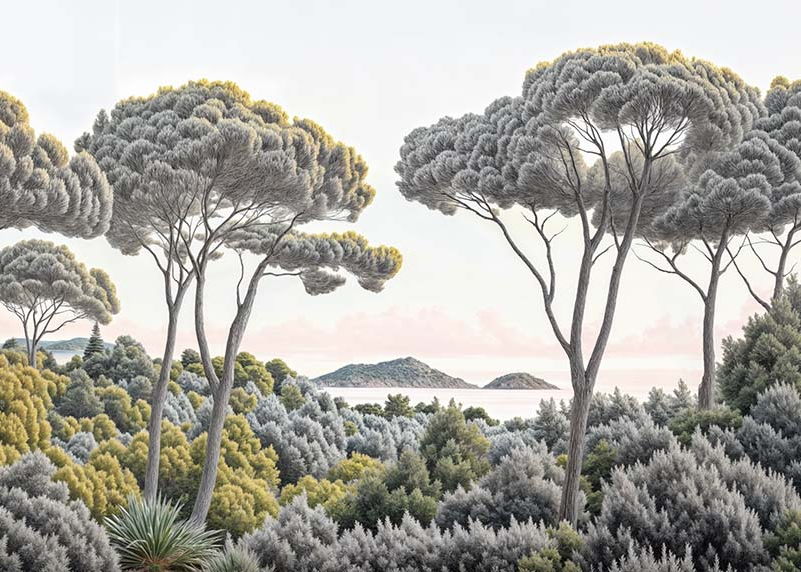 Image croppée