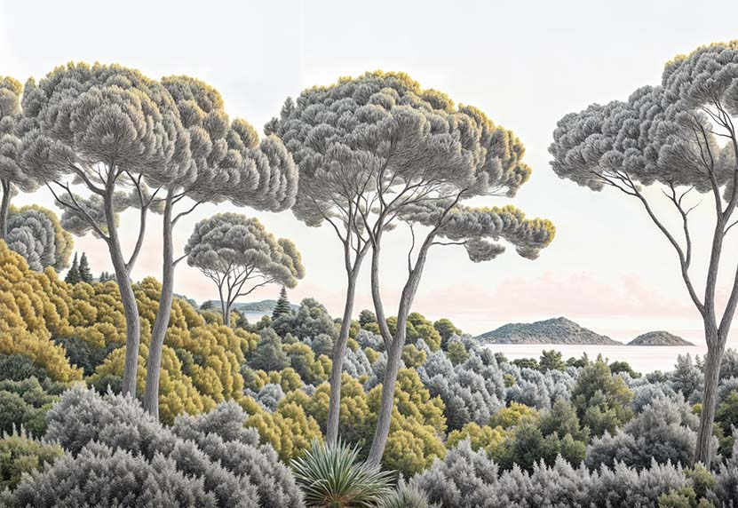 Image croppée