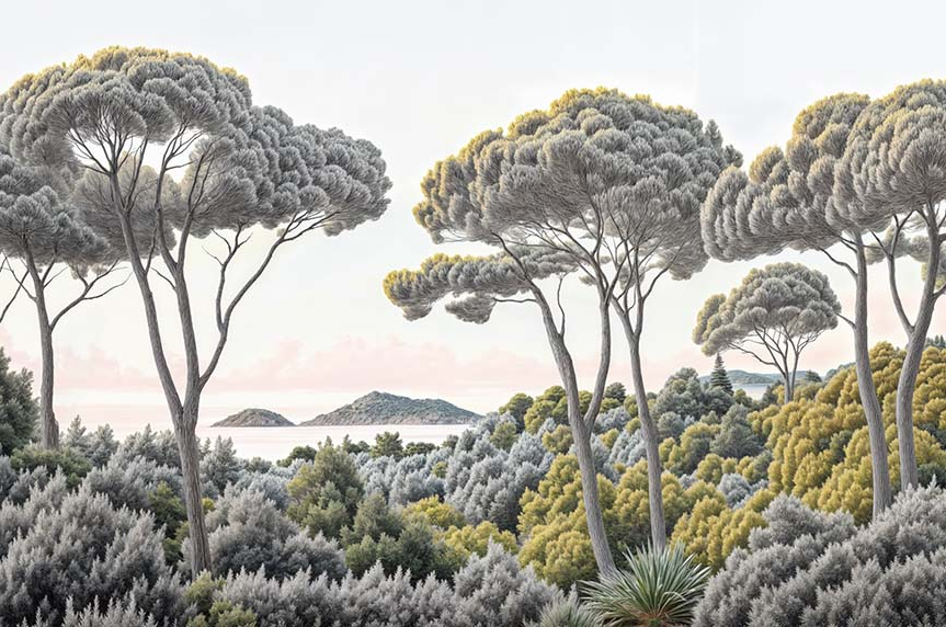 Image croppée