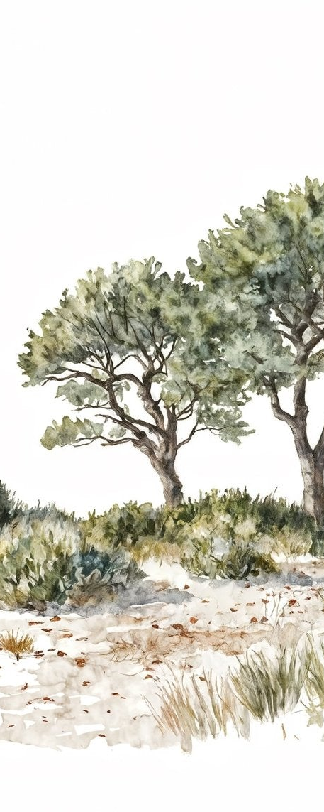 Image croppée