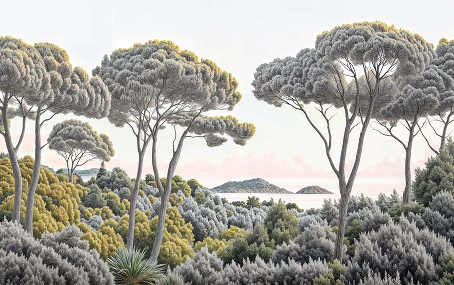 Image croppée