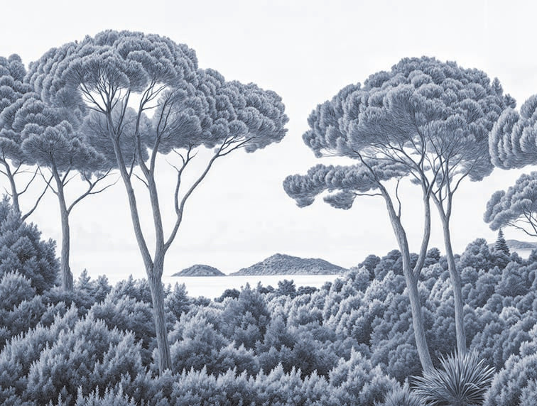 Image croppée