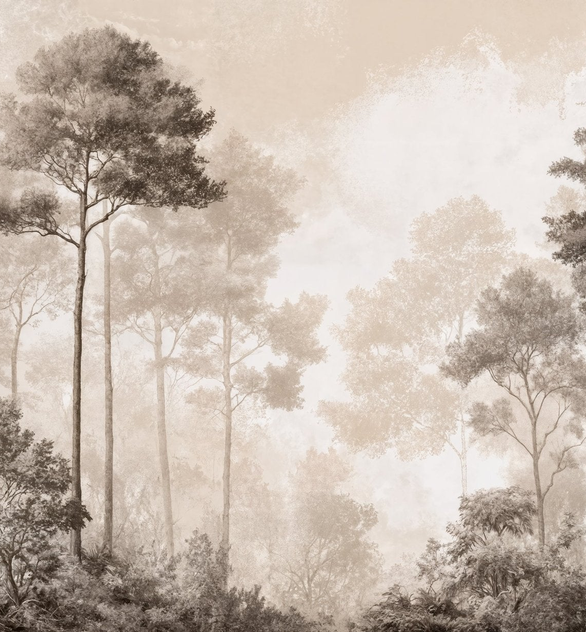 Forêt des Silences