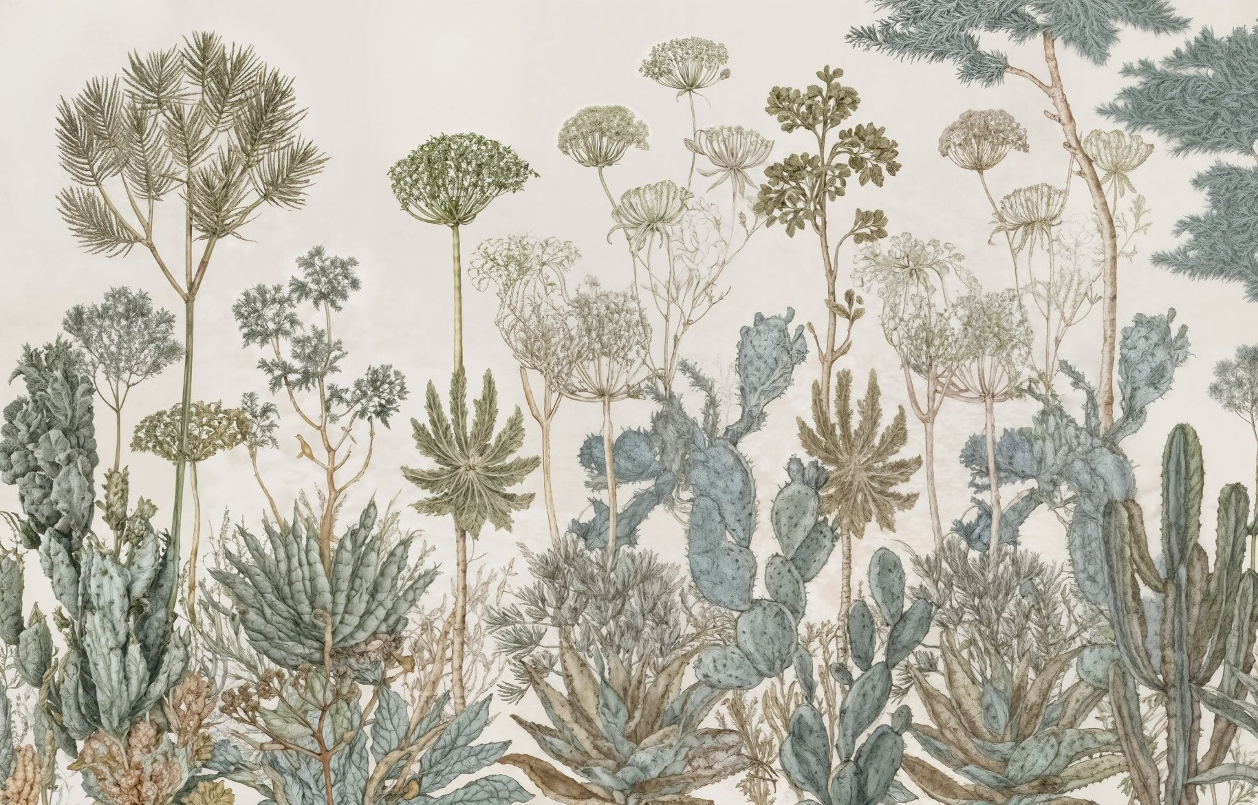 Herbarium Cactus