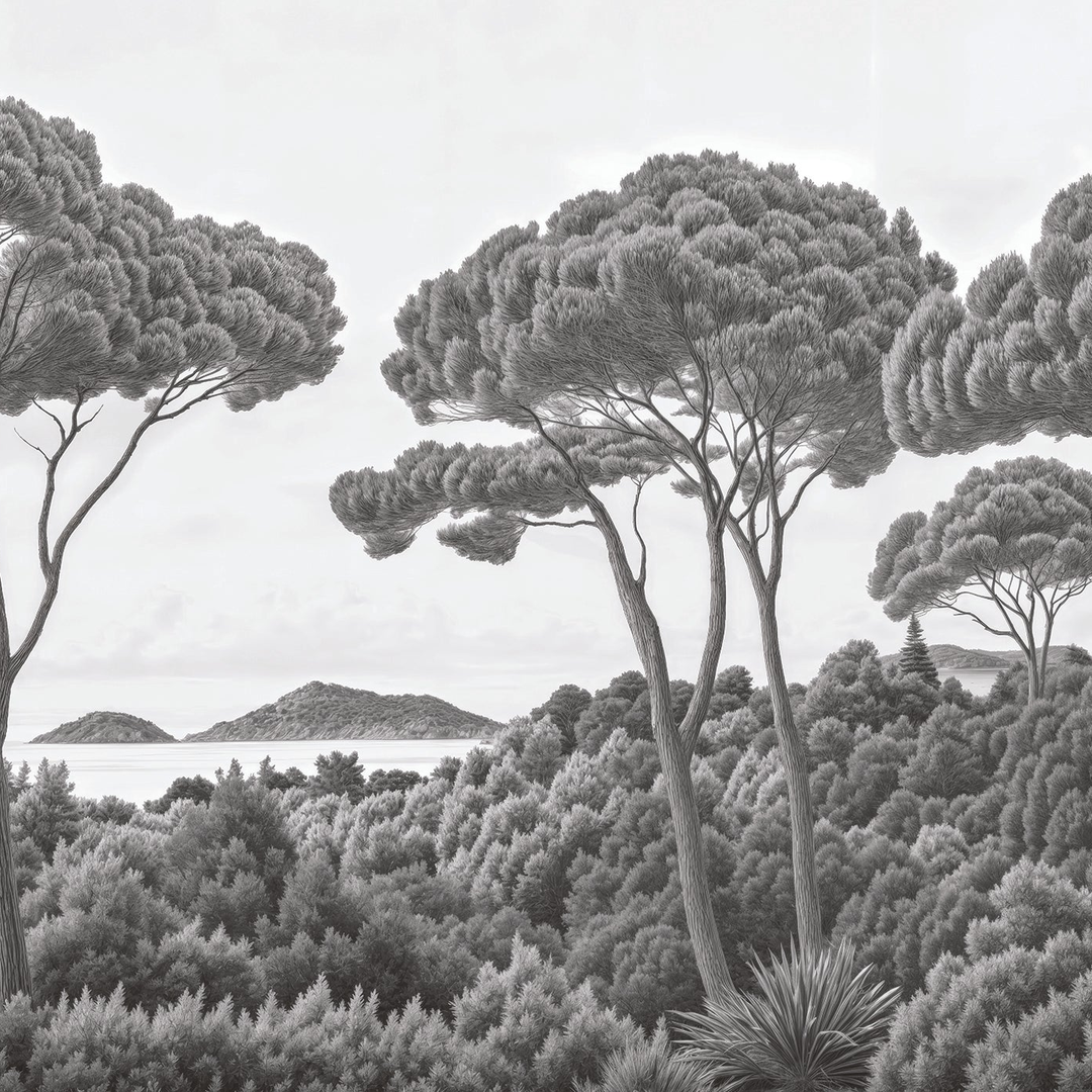 Image croppée