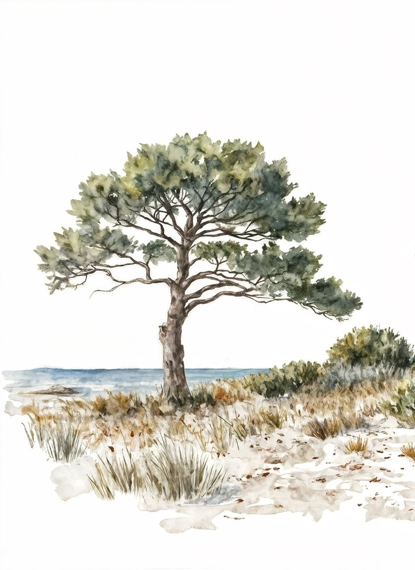 Image croppée