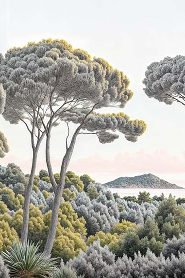Image croppée