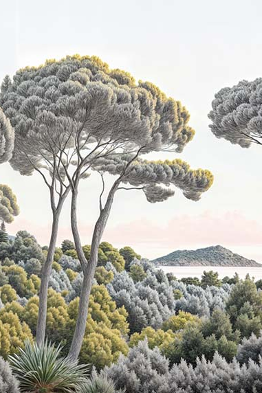 Image croppée
