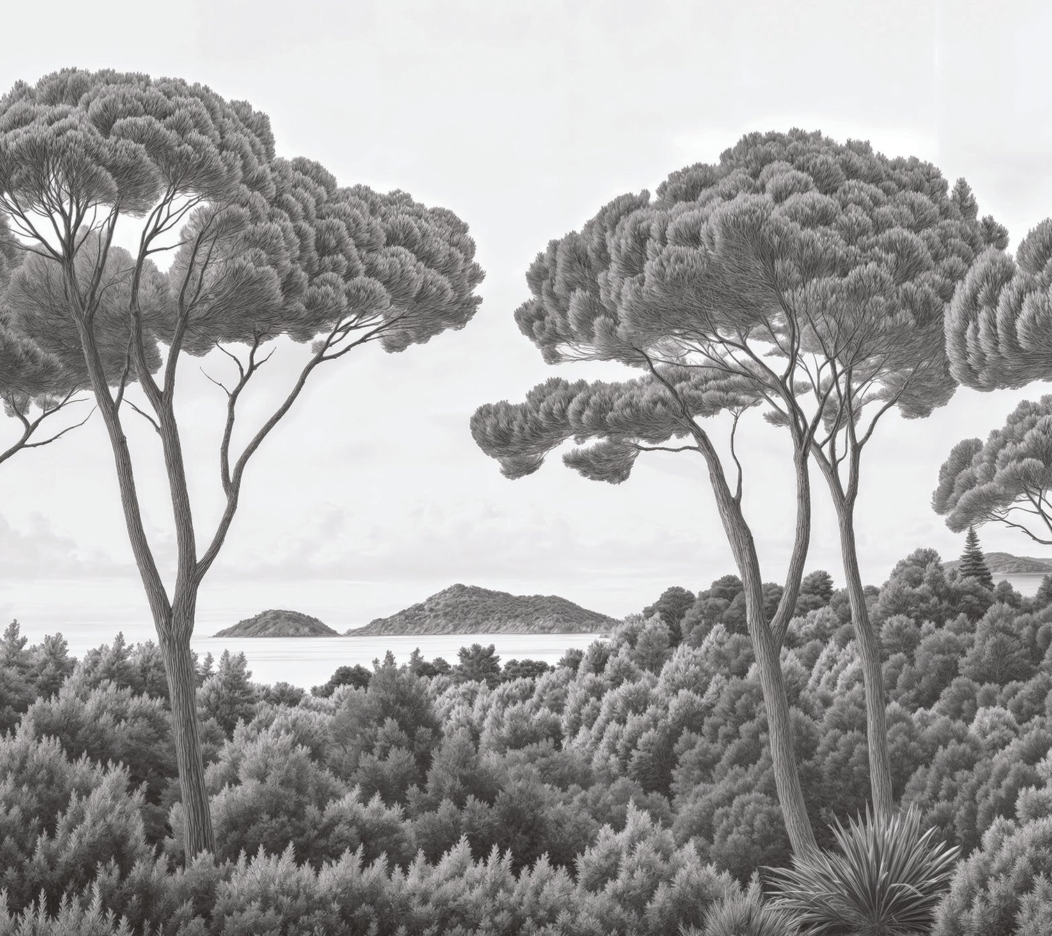 Image croppée