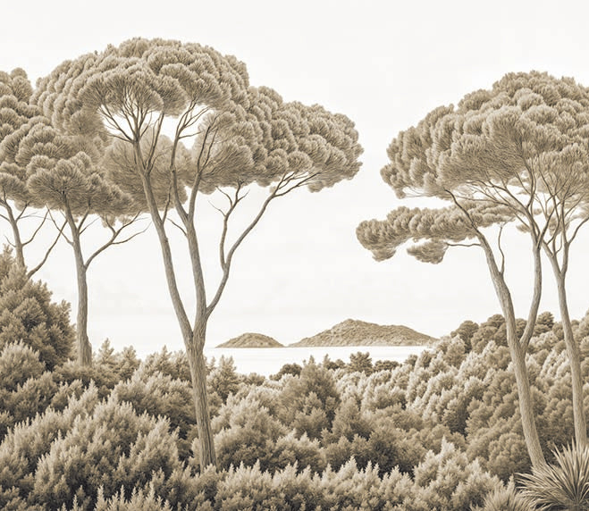 Image croppée