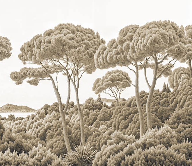 Image croppée