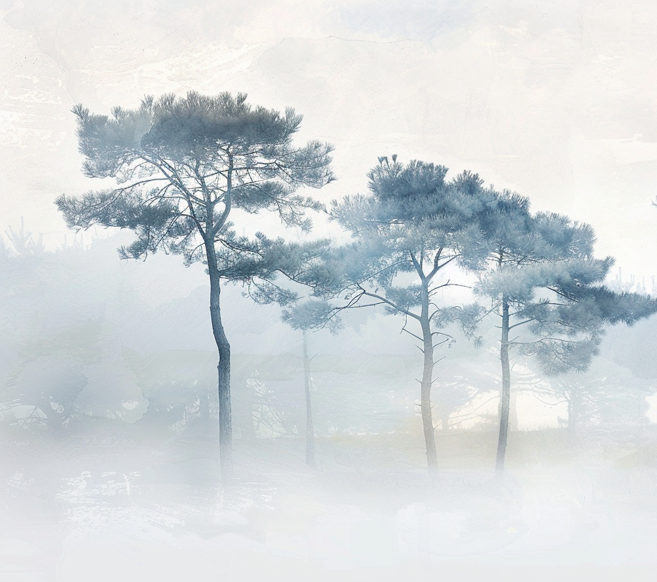 Image croppée