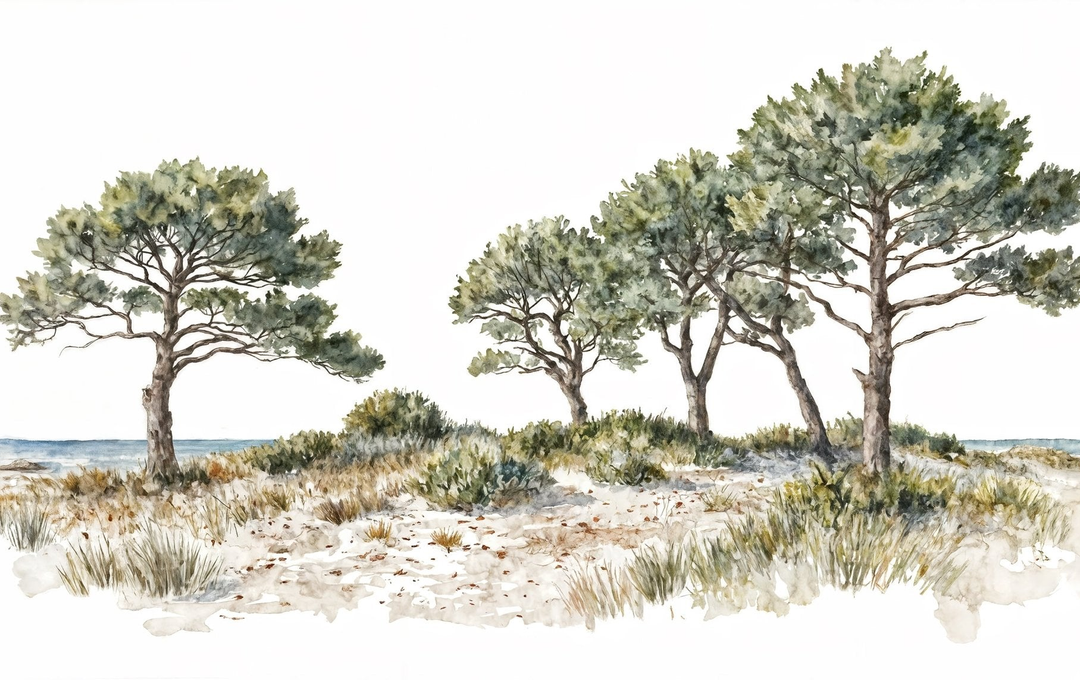 Image croppée