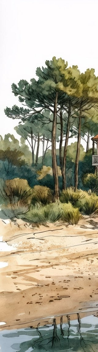 Balade au Cap Ferret