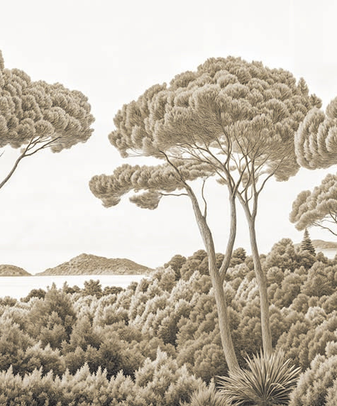 Image croppée