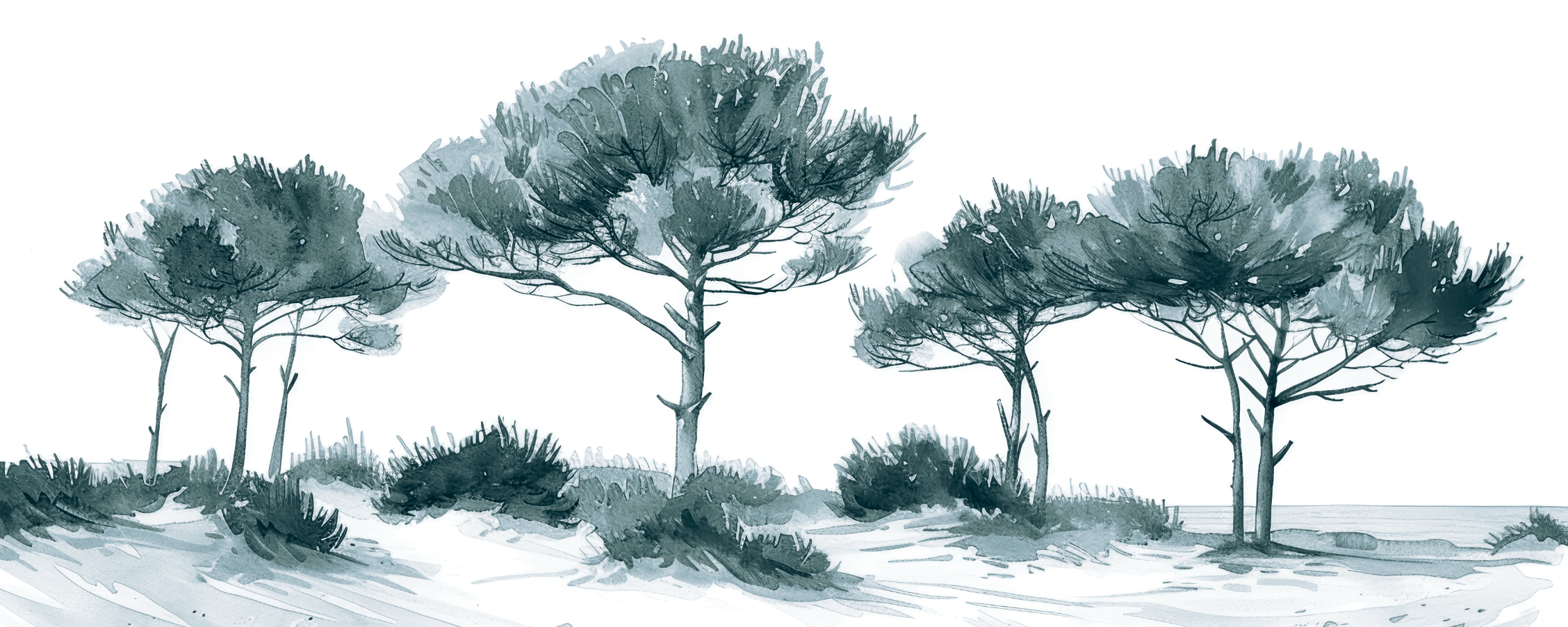 Les Pins de la Plage Bleu gris