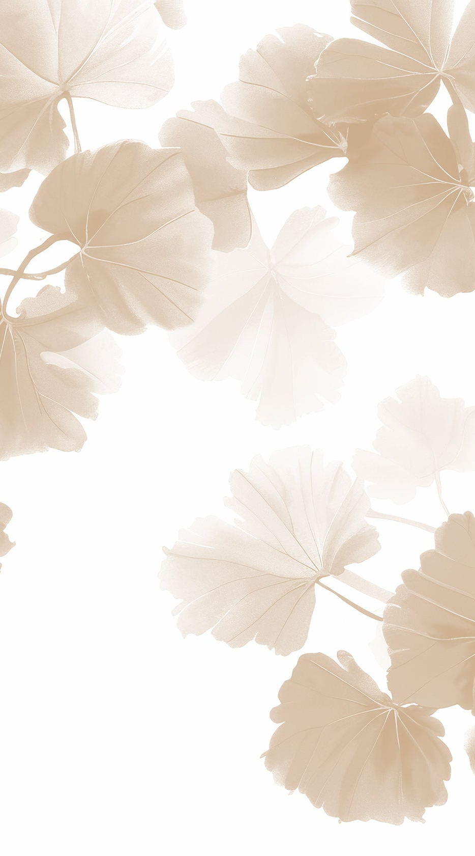 Feuille de Ginkgo Beige