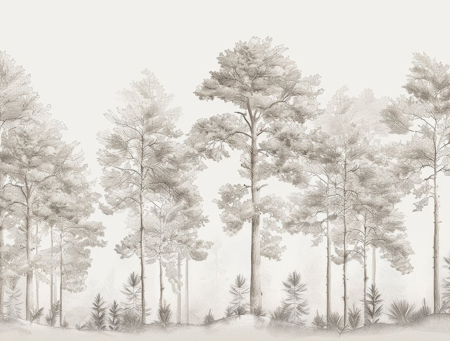 Douceurs des bois