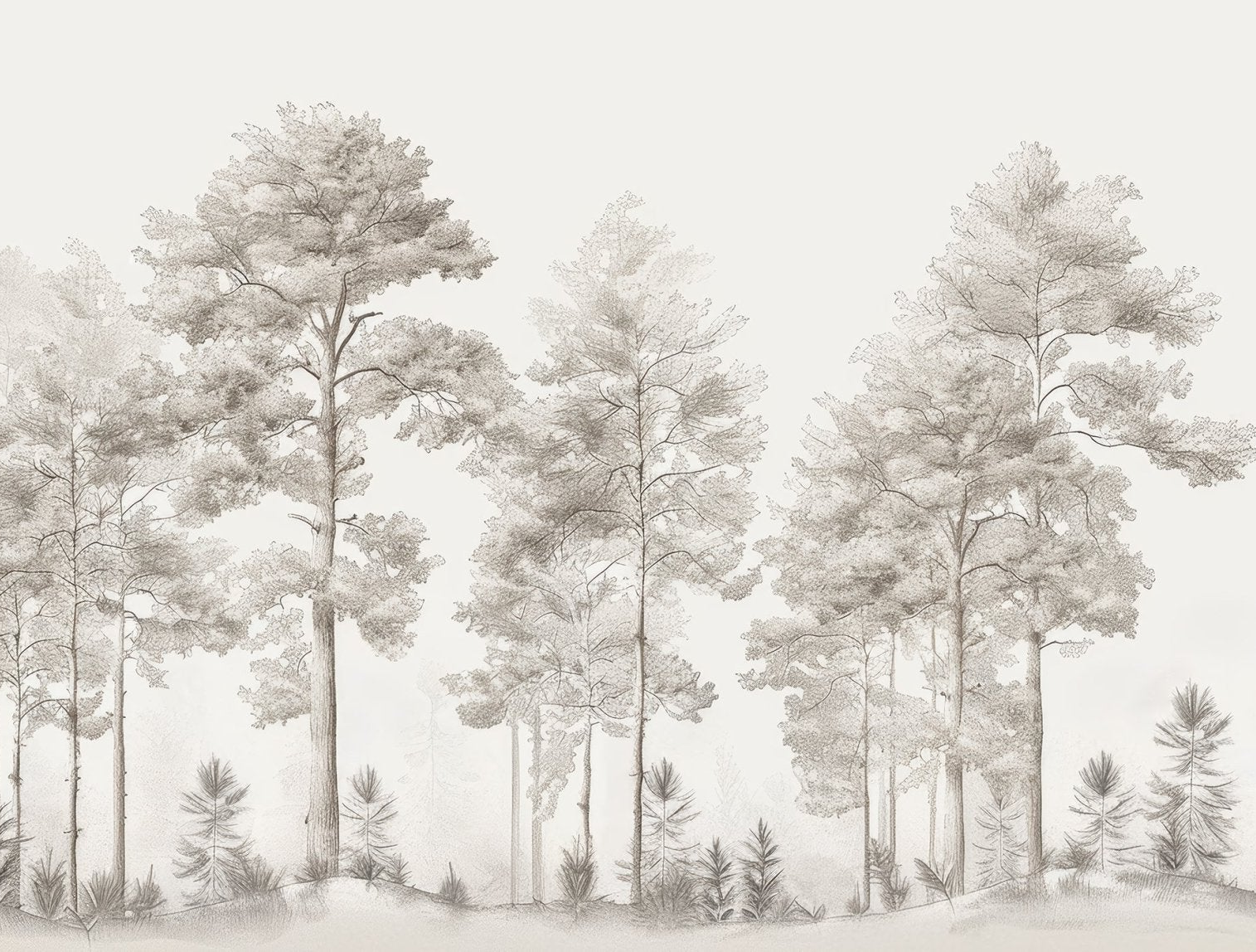 Douceurs des bois