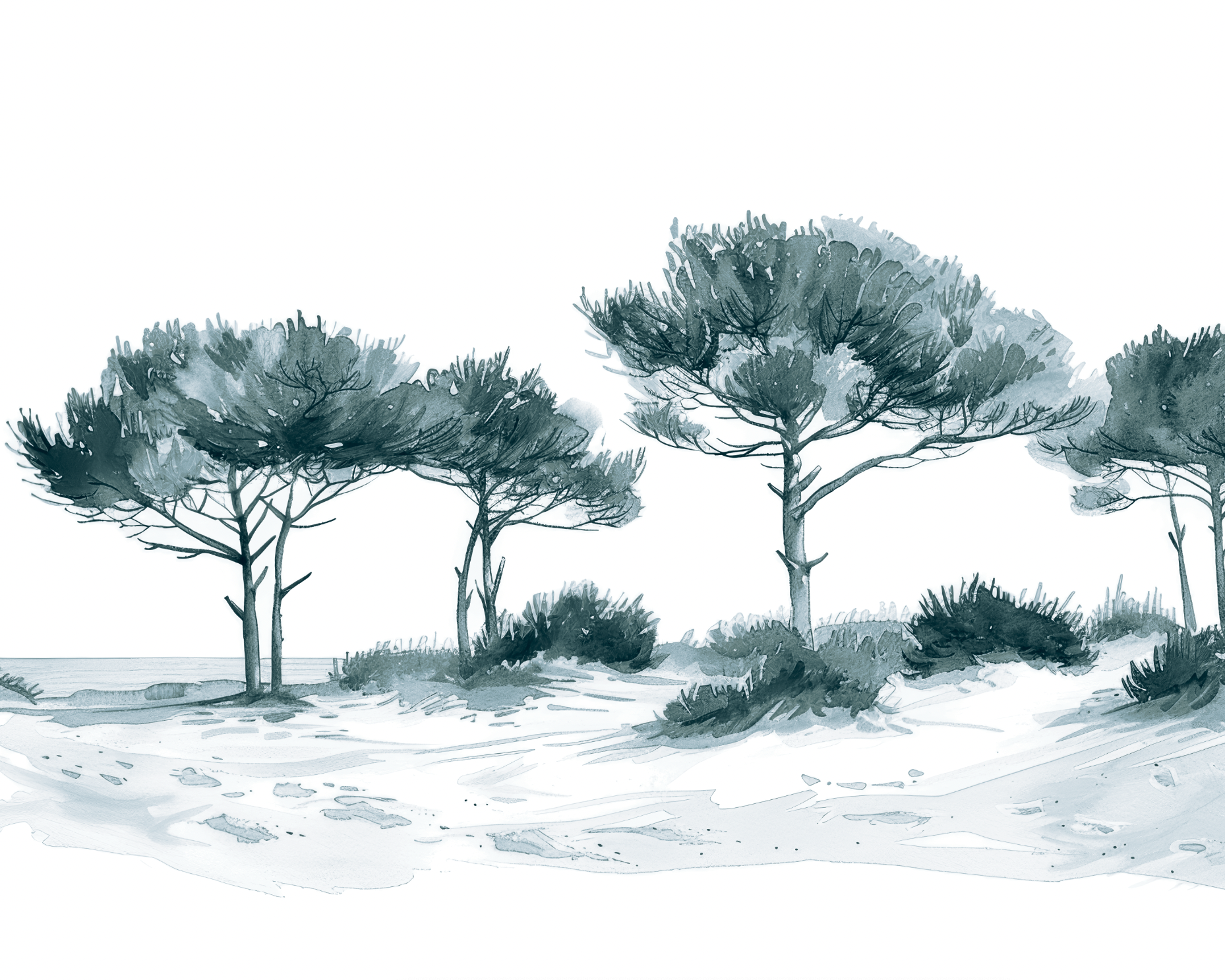 Les Pins de la Plage Bleu gris