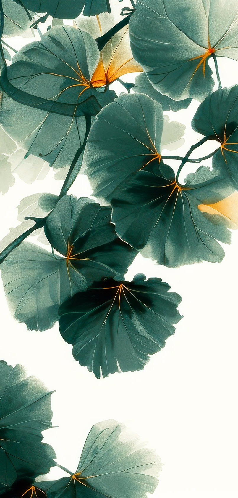 Image croppée