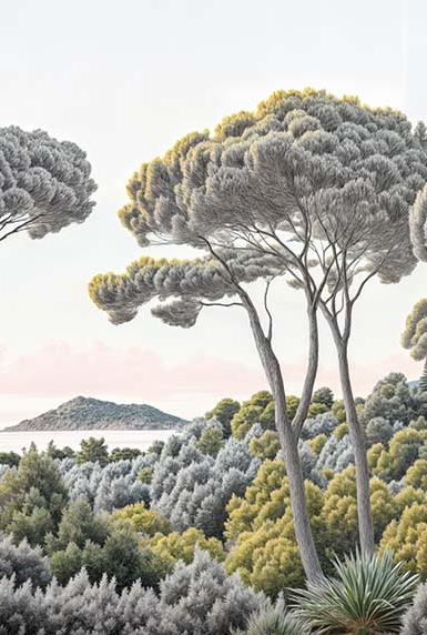 Image croppée
