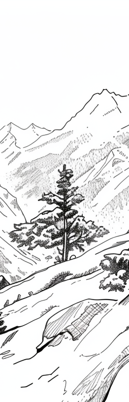 Image croppée