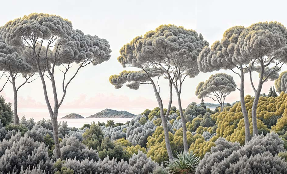 Image croppée