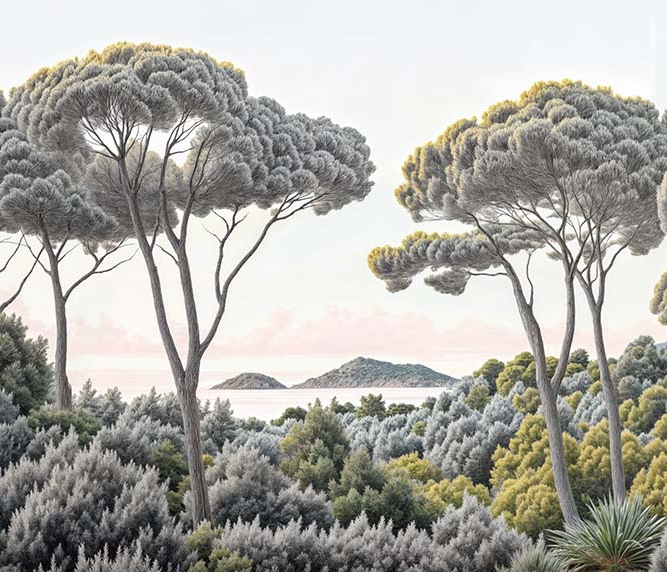 Image croppée