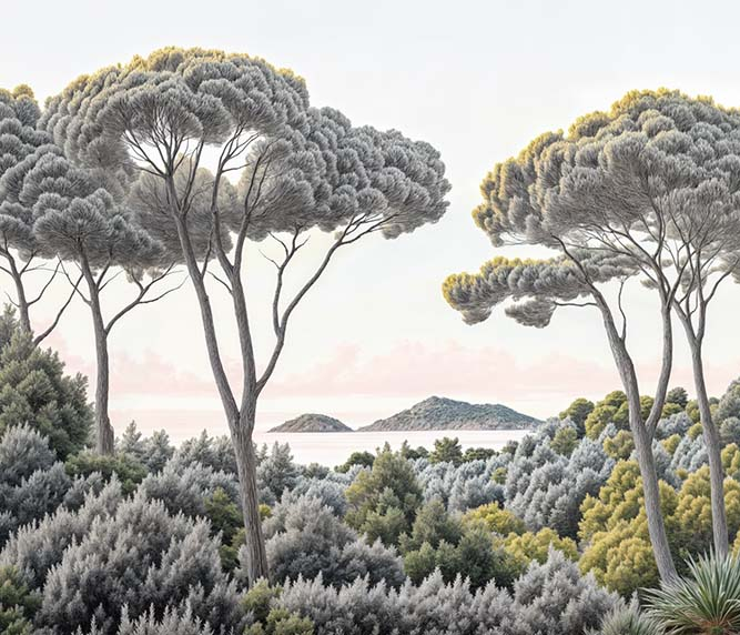 Image croppée