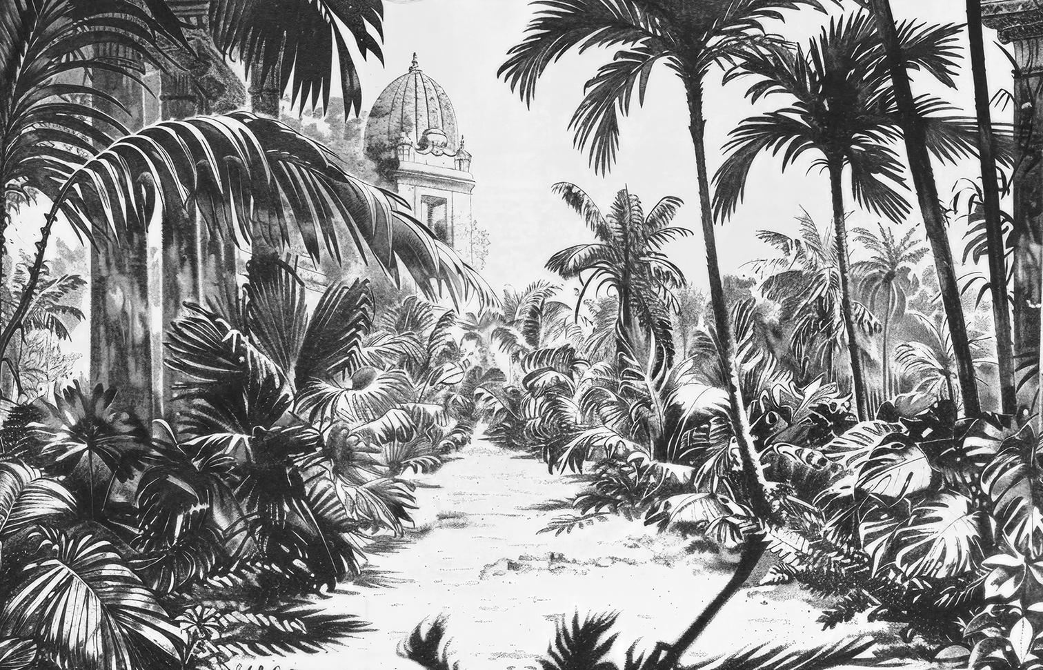 Image croppée