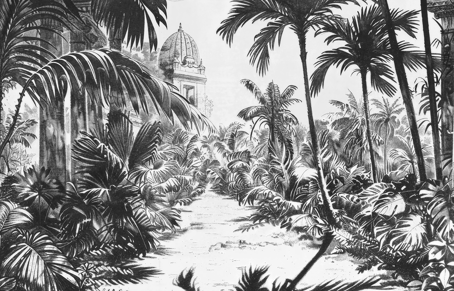 Voyage Tropical