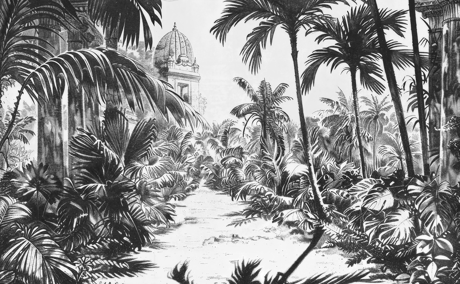 Image croppée