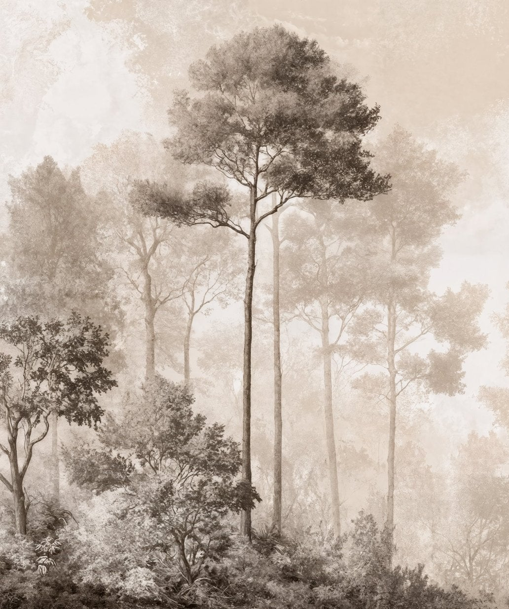 Image croppée