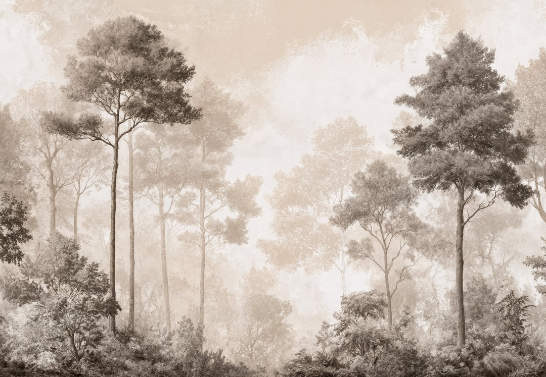 Image croppée
